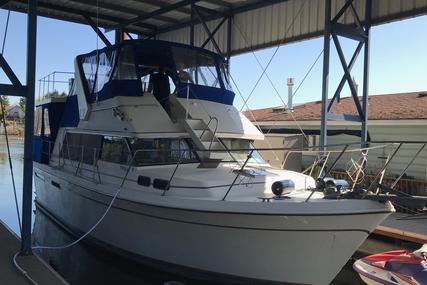 Bayliner 40 Bodega