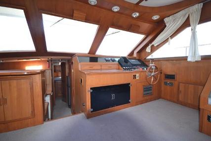 Bluewater Ultima 56