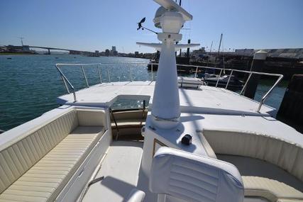 Bluewater Ultima 56