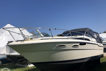 Sea Ray Weekender 300