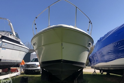 Sea Ray Weekender 300