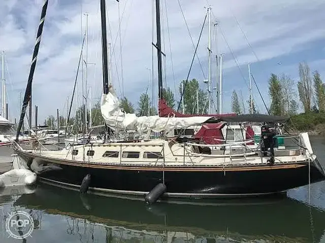 Newport 41