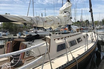 Newport 41