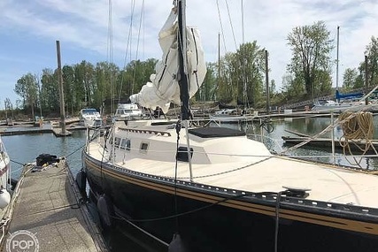 Newport 41