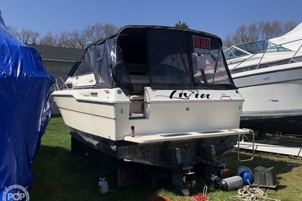 Sea Ray Weekender 300