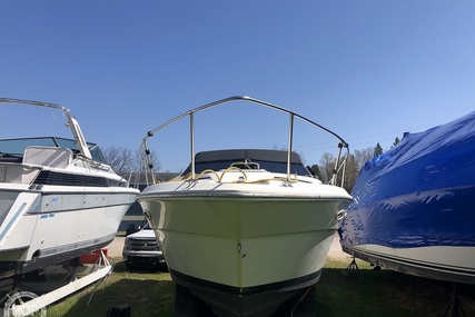 Sea Ray Weekender 300