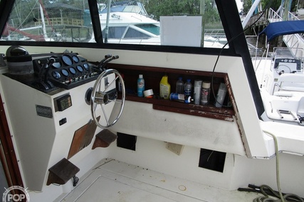 Chris Craft Catalina 310 Express