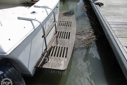 Chris Craft Catalina 310 Express