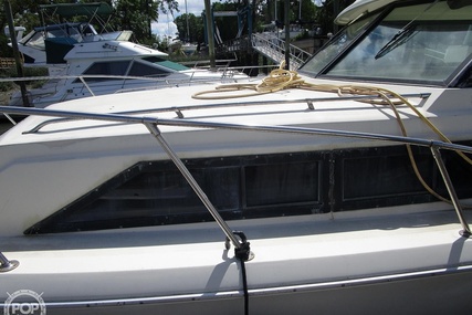 Chris Craft Catalina 310 Express