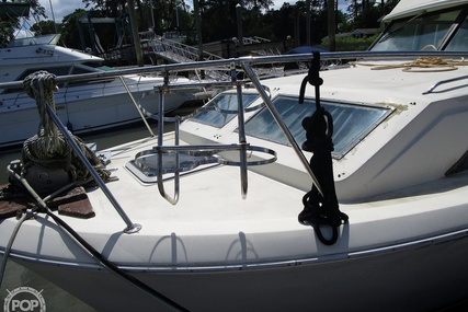 Chris Craft Catalina 310 Express