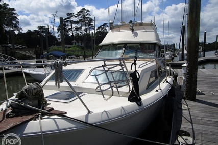 Chris Craft Catalina 310 Express