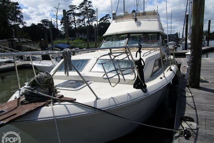 Chris Craft Catalina 310 Express