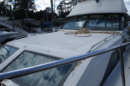 Chris Craft Catalina 310 Express