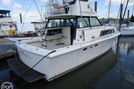 Chris Craft Catalina 310 Express