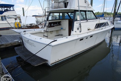 Chris Craft Catalina 310 Express