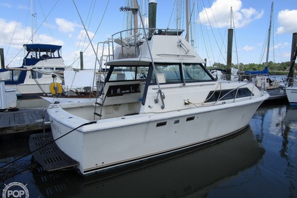 Chris Craft Catalina 310 Express