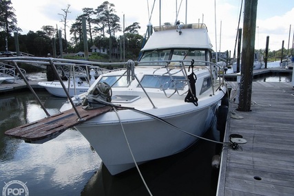 Chris Craft Catalina 310 Express