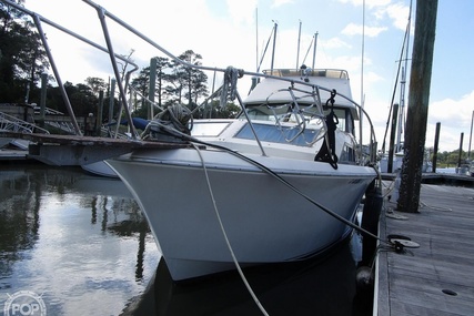 Chris Craft Catalina 310 Express