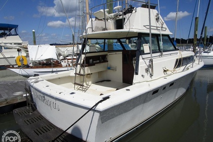 Chris Craft Catalina 310 Express