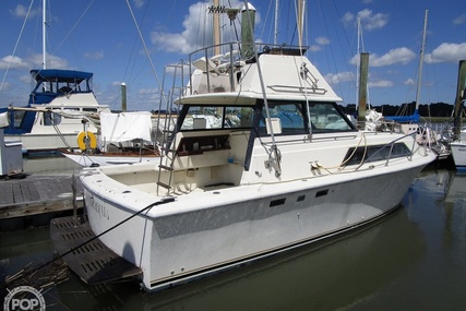 Chris Craft Catalina 310 Express