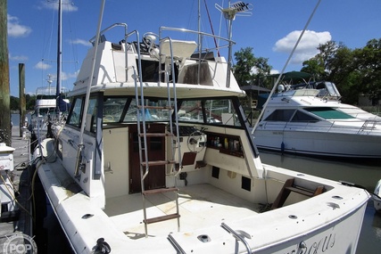 Chris Craft Catalina 310 Express