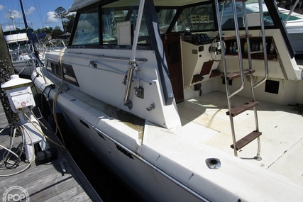 Chris Craft Catalina 310 Express