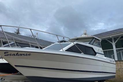 Bayliner 2452 Ciera Classic