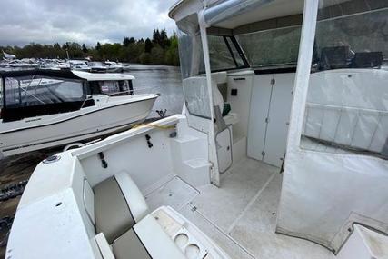 Bayliner 2452 Ciera Classic