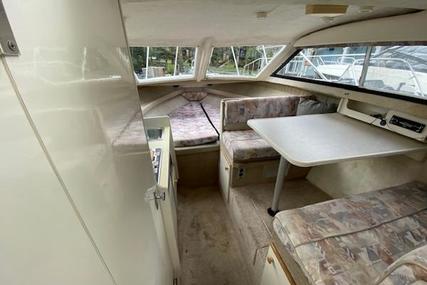 Bayliner 2452 Ciera Classic