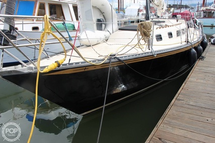 Newport 41