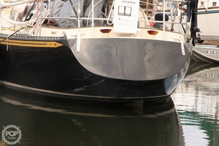 Newport 41