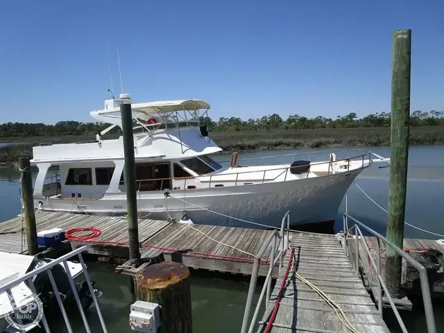 Albin Boats 49 Extended Flybridge