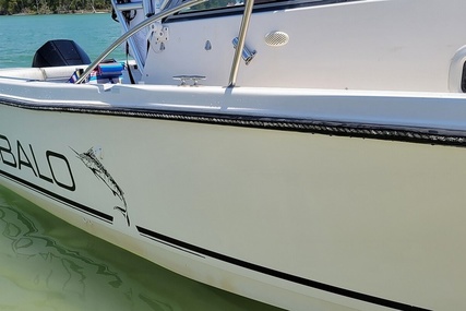 Robalo 2140 Walkaround