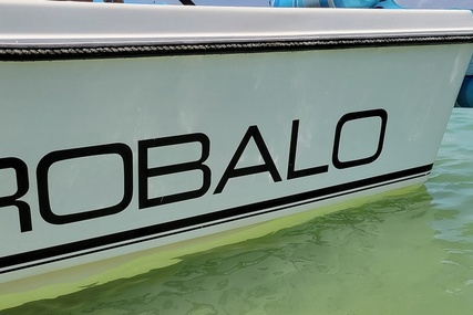 Robalo 2140 Walkaround