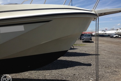 Boston Whaler 20 Revenge