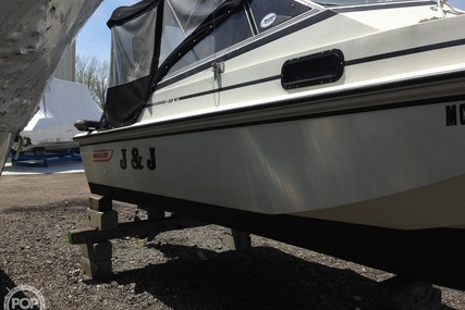 Boston Whaler 20 Revenge