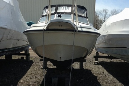 Boston Whaler 20 Revenge