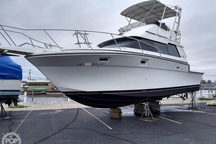 Luhrs 342 Tournament Sportfish