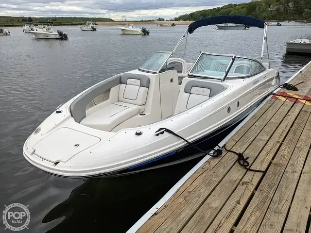 Sea Ray 230 Sundeck