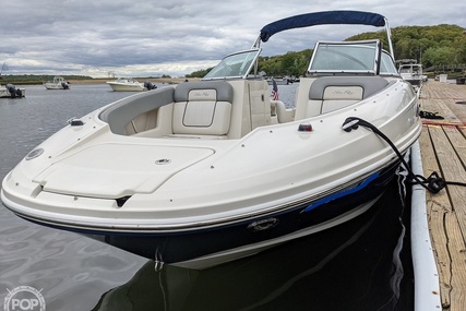 Sea Ray 230 Sundeck