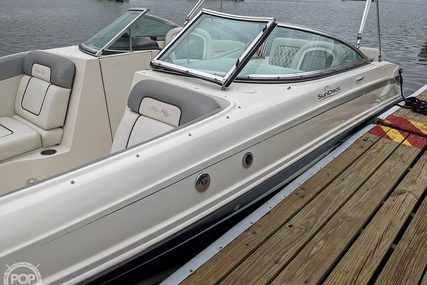 Sea Ray 230 Sundeck