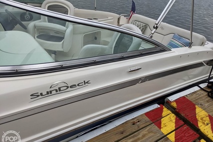 Sea Ray 230 Sundeck