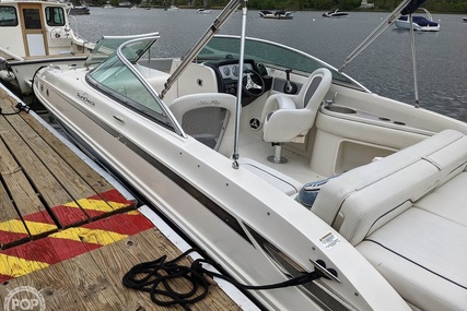 Sea Ray 230 Sundeck