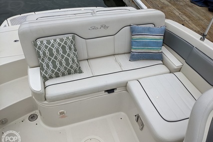 Sea Ray 230 Sundeck