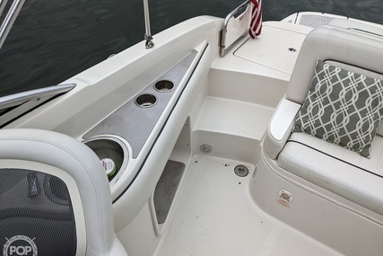 Sea Ray 230 Sundeck