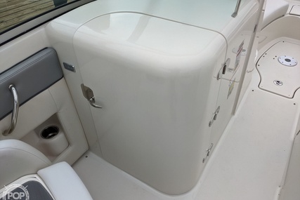 Sea Ray 230 Sundeck