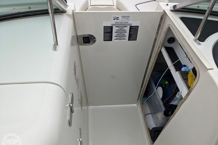 Sea Ray 230 Sundeck