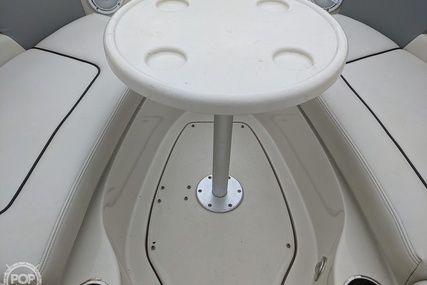 Sea Ray 230 Sundeck