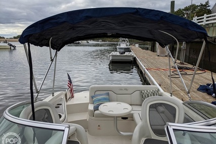 Sea Ray 230 Sundeck