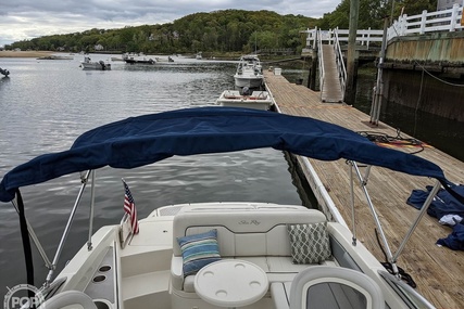 Sea Ray 230 Sundeck